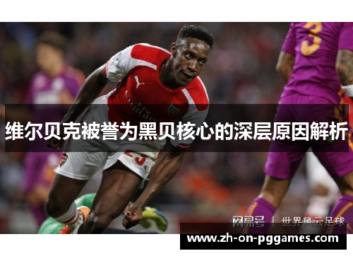 维尔贝克被誉为黑贝核心的深层原因解析